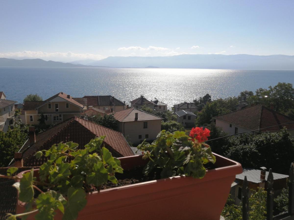 Vila Vista Magica Radozda Struga Exterior photo